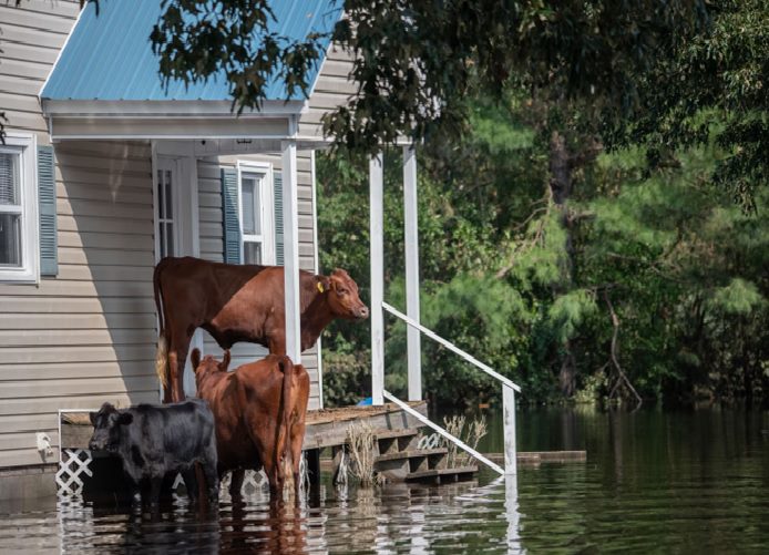 Commercial Roofers in Lynchburg, VA Talk About The Importance of Respecting Hurricane Season